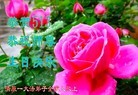ֹ,󷨵ӹ編ִʦ𻪵(19)
