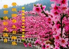 ֹ,󷨵ӹ編ִʦ𻪵(19)
