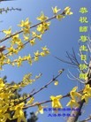 ֹ,󷨵ӹ編ִʦ𻪵(22)

