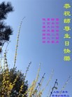ֹ,󷨵ӹ編ִʦ𻪵(22)
