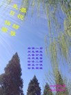 ֹ,󷨵ӹ編ִʦ𻪵(22)
