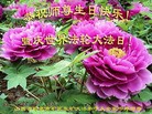 ֹ,ɽ󷨵ӹ編ִʦ𻪵(22)
