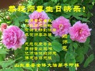 ֹ,ɽ󷨵ӹ編ִʦ𻪵(25)
