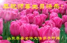 ֹ,ɽ󷨵ӹ編ִʦ𻪵(25)
