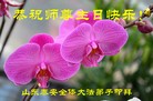 ֹ,ɽ󷨵ӹ編ִʦ𻪵(25)
