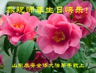 ֹ,ɽ󷨵ӹ編ִʦ𻪵(25)

