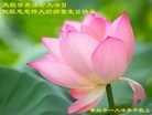 ֹ,ൺ󷨵ӹ編ִʦ𻪵(24)
