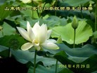 ֹ,д󷨵ӹ編ִʦ𻪵(29)
