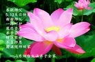 ֹ,ɽ󷨵ӹ編ִʦ𻪵(25)
