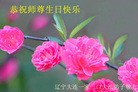 ֹ,󷨵ӹ編ִʦ𻪵(24)
