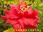 ֹ,㶫󷨵ӹ編ִʦ𻪵(25)
