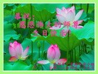 ֹ,󷨵ӹ編ִʦ𻪵(21)
