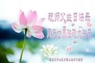 ֹ,󷨵ӹ編ִʦ𻪵(27)
