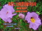 ֹ,󷨵ӹ編ִʦ𻪵(21)
