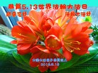 ֹ,󷨵ӹ編ִʦ𻪵(21)

