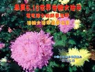 ֹ,󷨵ӹ編ִʦ𻪵(21)

