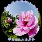 ֹ,ӱ󷨵ӹ編ִʦ𻪵(22)
