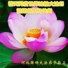 ֹ,ӱ󷨵ӹ編ִʦ𻪵(22)
