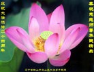 ֹ,󷨵ӹ編ִʦ𻪵(19)
