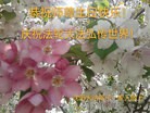ֹ,󷨵ӹ編ִʦ𻪵(21)
