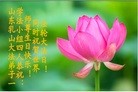 ֹ,ɽ󷨵ӹ編ִʦ𻪵(27)
