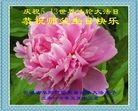 ֹ,մ󷨵ӹ編ִʦ𻪵(27)
