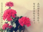 ֹ,󷨵ӹ編ִʦ𻪵(22)
