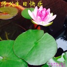 ���ֹ�,��ľ˹�󷨵��ӹ������編�ִ�����ʦ�𻪵�(18��)
