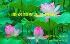 ֹ,㶫󷨵ӹ編ִʦ𻪵(33)
