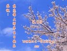 ֹ,󷨵ӹ編ִʦ𻪵(22)
