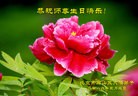 ֹ,󷨵ӹ編ִʦ𻪵(22)
