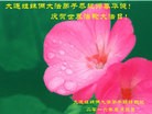 ֹ,󷨵ӹ編ִʦ𻪵(21)
