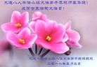 ֹ,󷨵ӹ編ִʦ𻪵(21)
