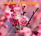ֹ,ϴ󷨵ӹ編ִʦ𻪵(26)
