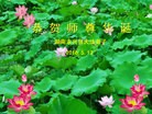 法轮功,湖南大法弟子恭贺世界法轮大法日暨师尊华诞(30条)
