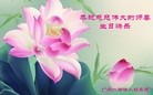 ֹ,ݴ󷨵ӹ編ִʦ𻪵(25)
