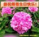 ֹ,ʯׯ󷨵ӹ編ִʦ𻪵(36)
