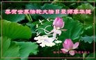 ֹ,󷨵ӹ編ִʦ𻪵(23)
