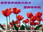 ֹ,󷨵ӹ編ִʦ𻪵(22)
