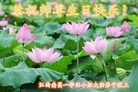 ֹ,󷨵ӹ編ִʦ𻪵(28)
