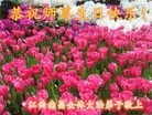 ֹ,󷨵ӹ編ִʦ𻪵(28)
