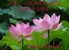 ֹ,ϴ󷨵ӹ編ִʦ𻪵(28)
