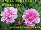 ֹ,ϴ󷨵ӹ編ִʦ𻪵(25)
