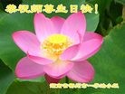 法轮功,湖南大法弟子恭贺世界法轮大法日暨师尊华诞(30条)
