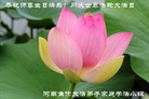 ֹ,ϴ󷨵ӹ編ִʦ𻪵(28)
