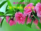 ֹ,Ϋ󷨵ӹ編ִʦ𻪵(27)
