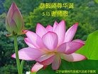 ֹ,ݴ󷨵ӹ編ִʦ𻪵(24)
