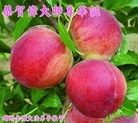 ֹ,ݴ󷨵ӹ編ִʦ𻪵(24)

