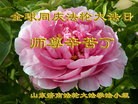 ֹ,ϴ󷨵ӹ編ִʦ𻪵(31)
