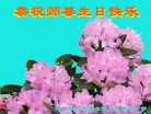 ֹ,󷨵ӹ編ִʦ𻪵(25)

